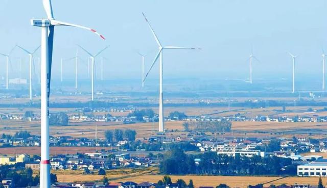 美哭！扬州稻田绝美秋景别错过～