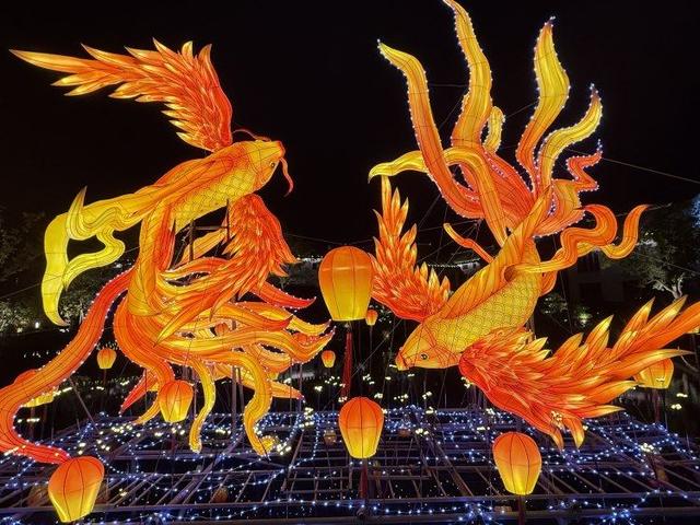 花开并蒂 灯映两岸！江苏周庄亮灯