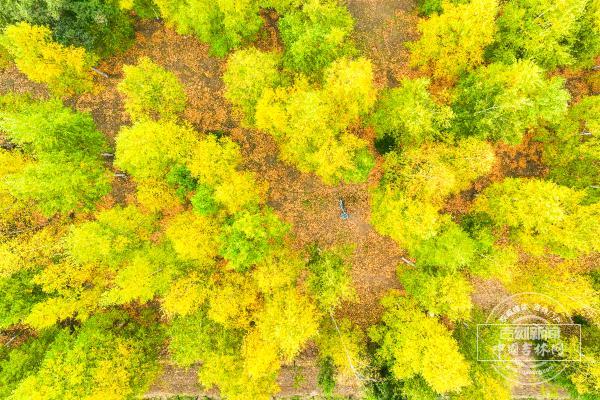新发路观察｜G334，吉林又一条文旅大通道