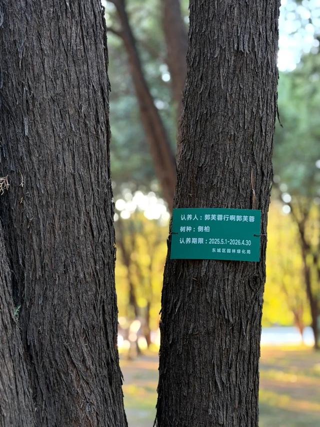 在北京花2元看“海”，这古早景点彻底翻红