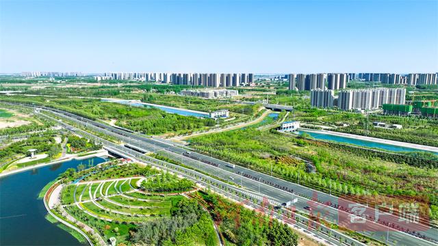 “河南造”冰淇淋为啥俏销东南亚