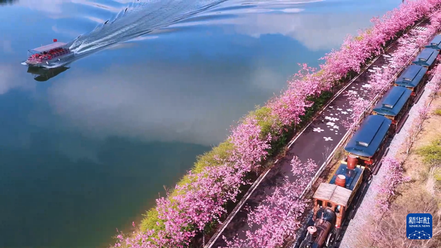 云南寻甸开启春日限定美景