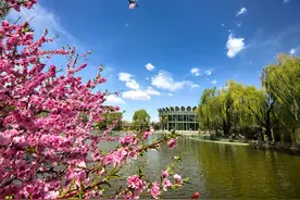 假期游园指南：丰台六大公园特色活动解锁春日浪漫图片