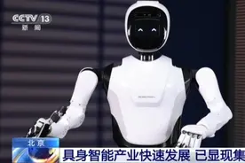 “大小脑”协同 解锁具身智能机器人的多元本领图片