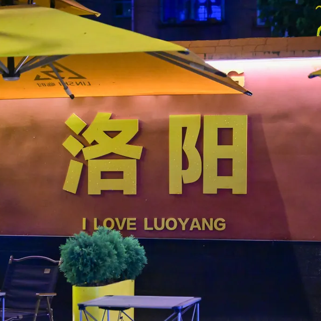 我们，如此热爱洛阳