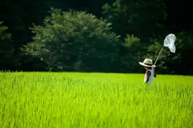 暑假，让人又爱又怕？图片