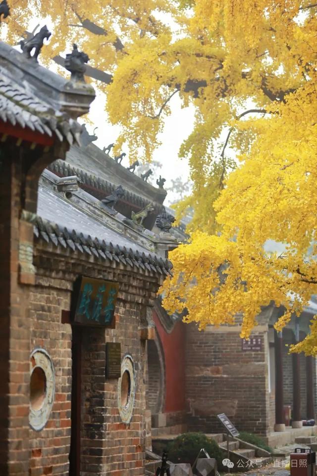 大胆预测！这个周末，日照这里将要爆满！