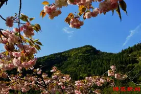 “五一”游山水 沂源故事多图片