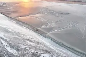 蛇年首场寒潮来袭 钱塘江畔再现冰雪潮汐树图片