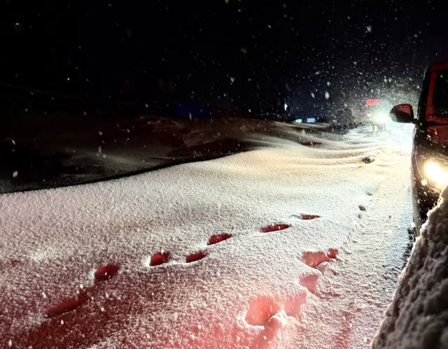 突降暴雪！有上海游客被堵8小时！知名景区紧急劝返300人，最新公告↗