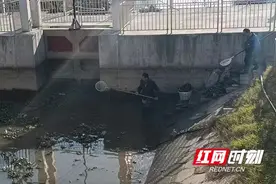 南县中鱼口镇：河道清理不懈 确保水清河畅图片