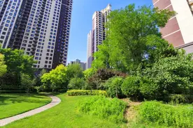 以案释法丨小区自管，业主委员会有权收取物业费吗？图片