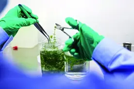 中国空间站让宇宙中的“科技宝藏”触手可及图片