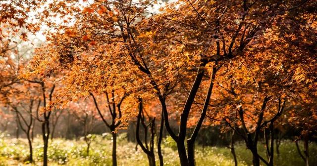 中国国家地理推介！宣城这里，将迎最美时刻！