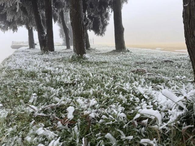 美到词穷！郴州首场雾凇惊艳上线