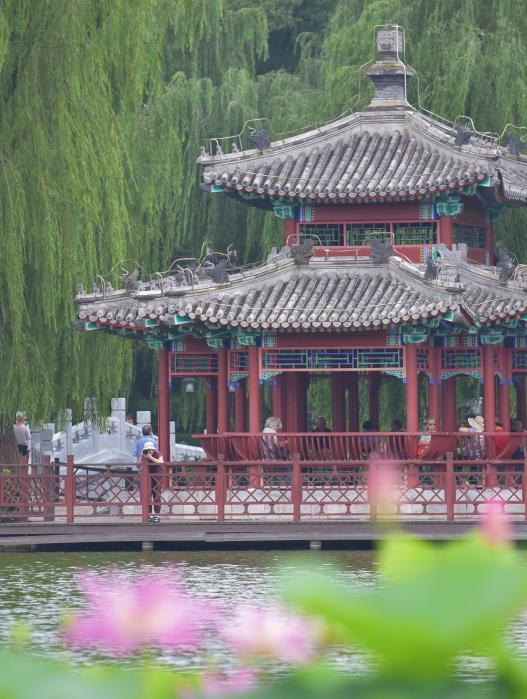 逛西城，到陶然亭公园打卡“隐藏点位”——