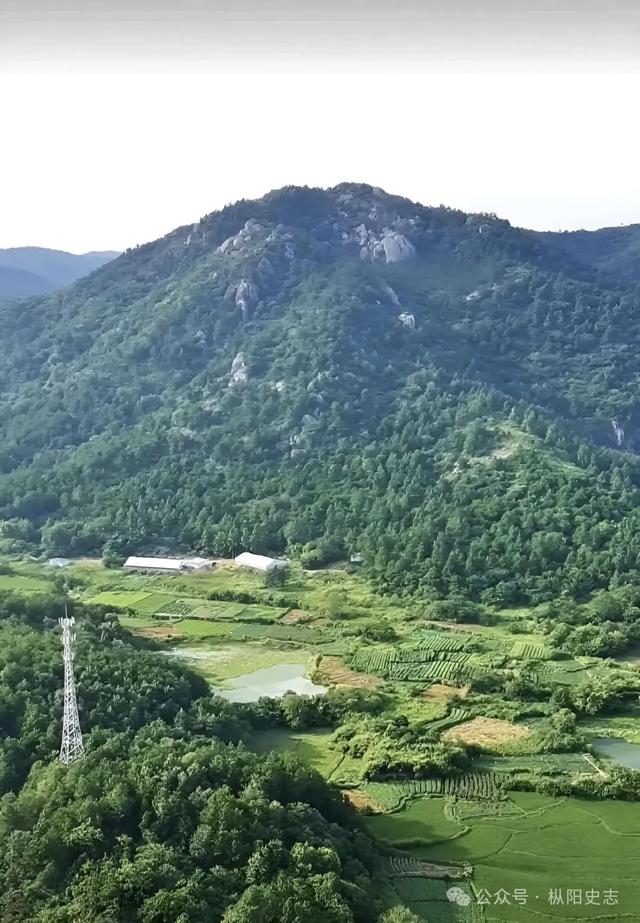 纪念抗战胜利80周年 | 抱龙山下的红色记忆