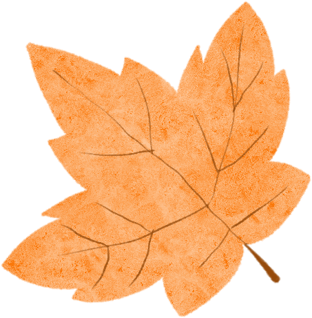 300亩！免费参观