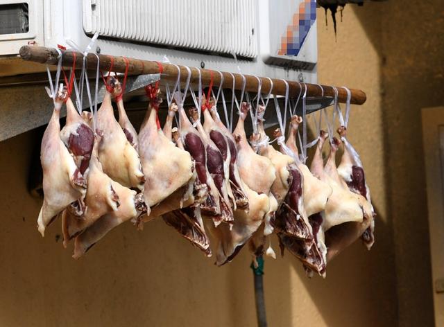 正大量上市！很多合肥人爱吃，有人一买10多斤