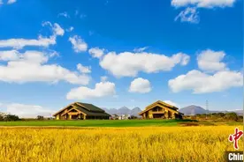 酒香传万年 浙江上山遗址发现世界上最早稻米酒图片