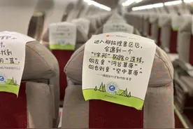 00后群体在6-8月的旅行预订量同比增长超80%图片