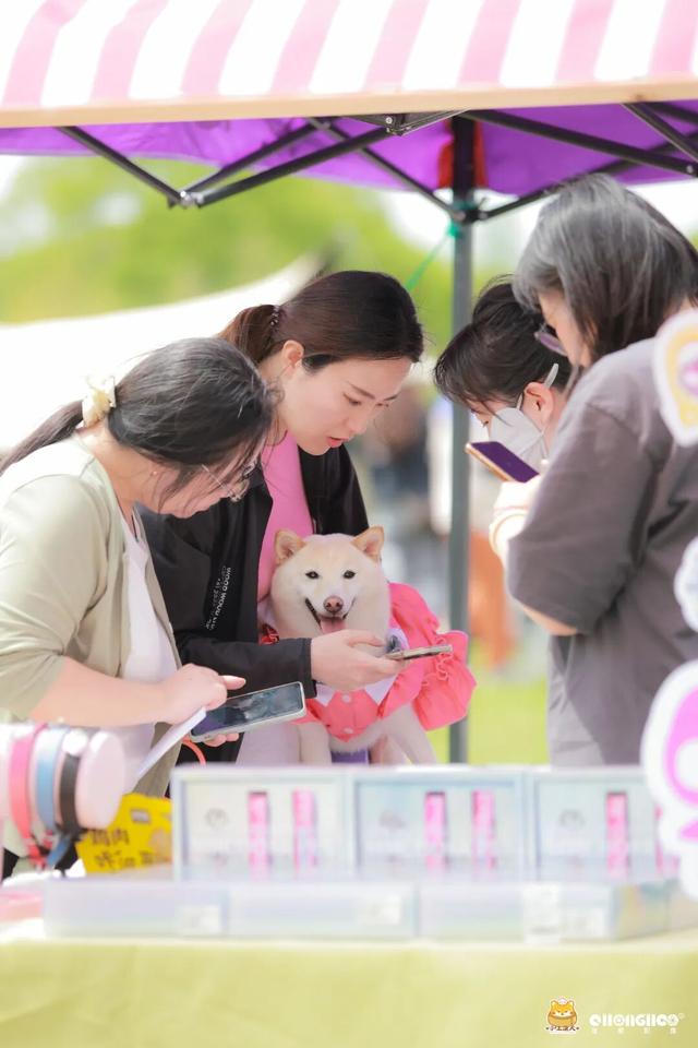 廊下生态园八项免费福利，助力双节畅游