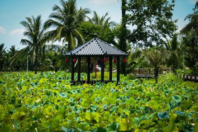 辞旧迎新游美兰！元旦活动+超值福利，收好就出发→