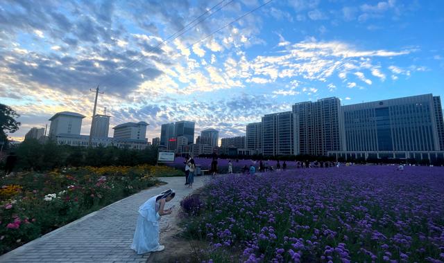 组图丨武威市政广场人如织景如画
