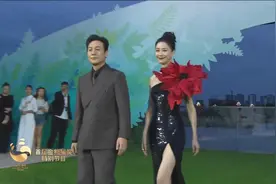 张颂文携手倪虹洁“表白”成都和金熊猫奖图片