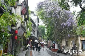长沙都正街：紫藤花开美若画卷图片