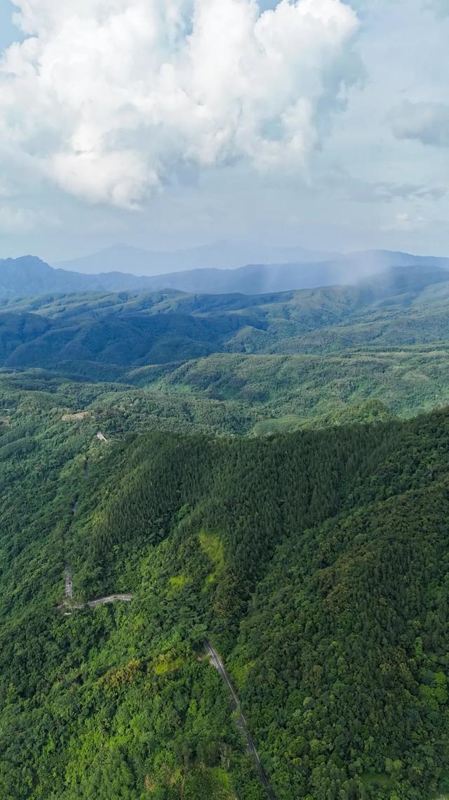 图观白沙 | 白沙山城的绿意秘境