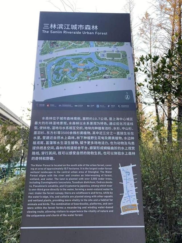 三林水森林未开先火，网络疯转“潜入攻略”！记者探访：确有不少游客；建设方：今年内完工，请静待开放