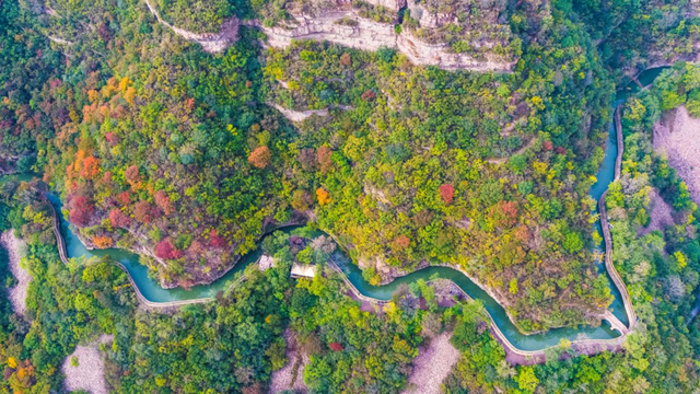 豫见两山 绿色答卷丨生态之旅——打卡“红旗渠的故乡”林州