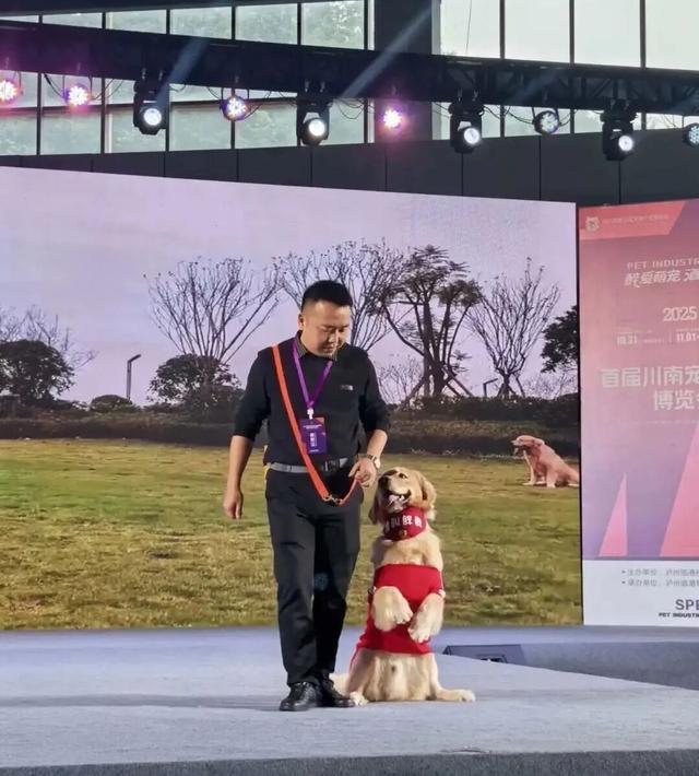 主题打卡、志愿服务、品牌展区…青年发展型城市的宠物博览会亮点多多