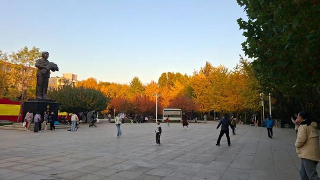 不必远行！邢台街头巷尾的彩叶之约等你赴会