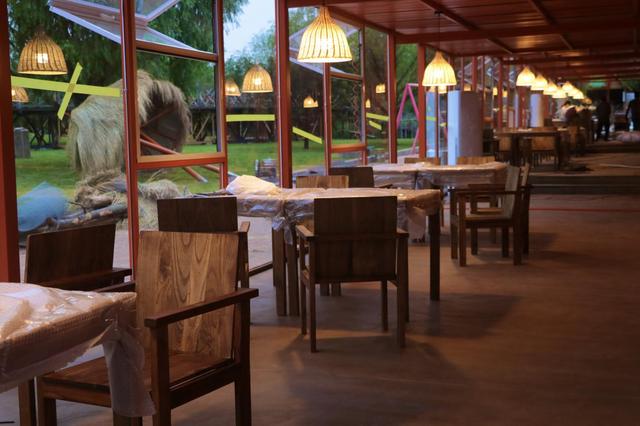 日照茶山牧场：一片茶香萦绕的治愈绿野