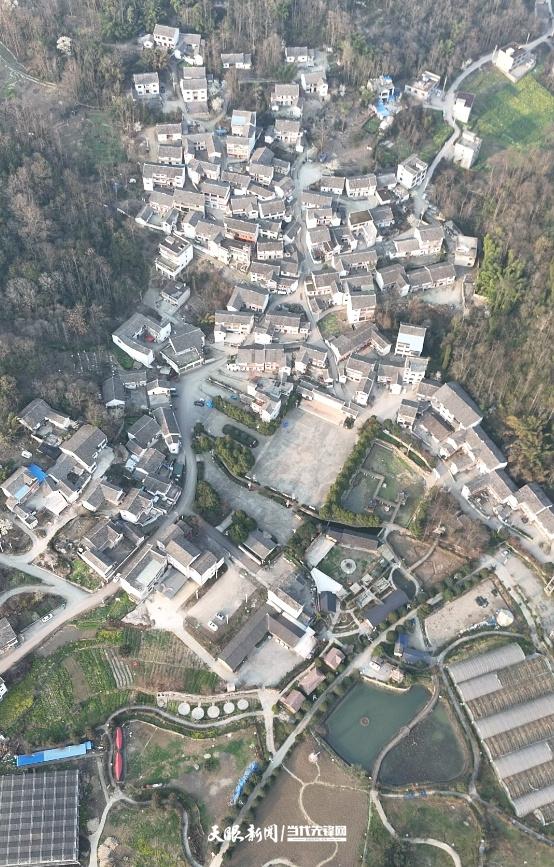 “住到凉快再走！”——四川游客关岭避暑记
