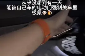 极氪001车主称因无法从内部开门被困！车企：可机械解锁图片