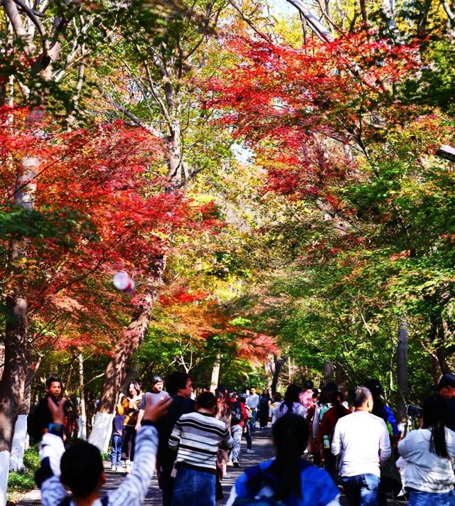 “CHUA”的一下，65%！