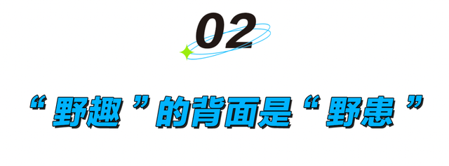 假期新点子，进山捡菌子