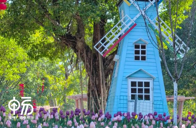 不用去荷兰！福州一公园上新，打卡率 100%...