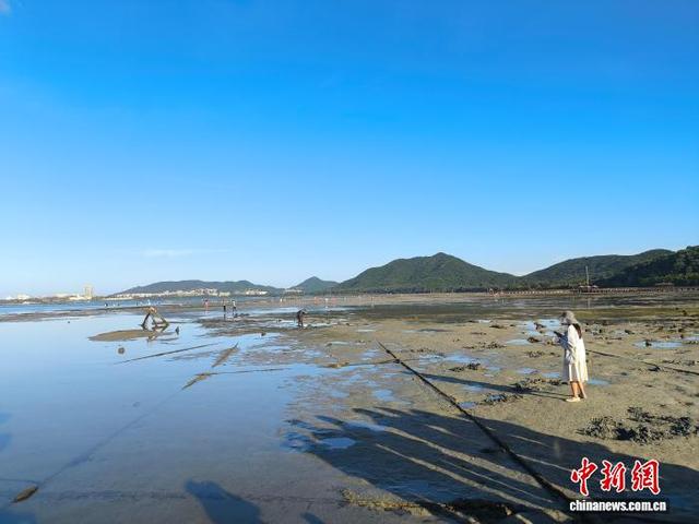 “以海为家” 到 “靠海兴业”：海南疍家人的水上新图景