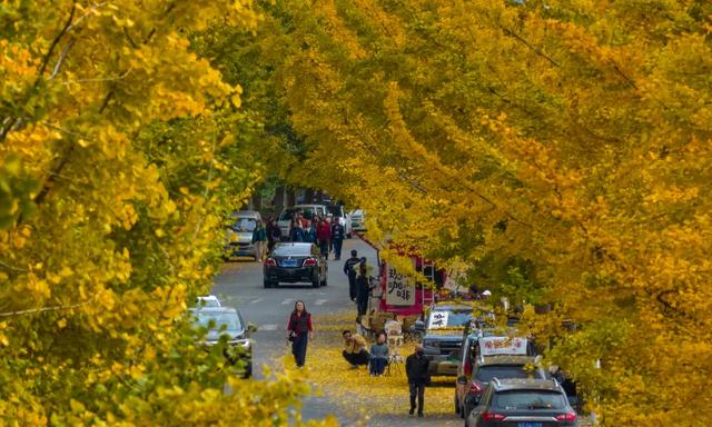 别再瞎找了！这张“黄金版图”全是惊喜