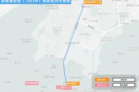 杭州秋天另一“顶流”归来！赏菊接驳线已上线，还有专属主题巴士图片