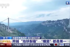 跨越“地球裂缝”！这座大桥“横竖”都是第一图片