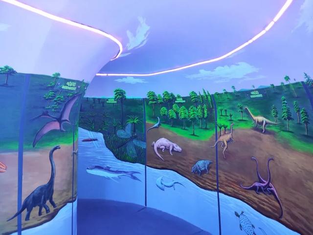 从化石标本到文旅名片，地质遗产活化的“郧阳答案”