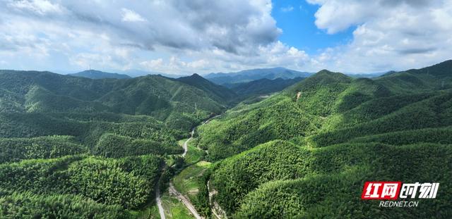 我住湘江边① | 蓝山天犬岭 一滴成势奔洞庭