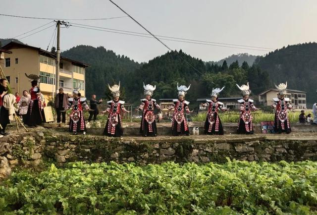 邻水上演现实版“偷甘蔗大战”，周末人气爆棚