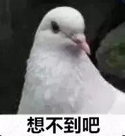 “阅兵结束10多分钟后，第一批放飞的和平鸽就到家洗澡了”