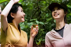 家有喜事传北京｜基诺“雨林徒步”，让民族团结“旅游饭”越吃越香图片